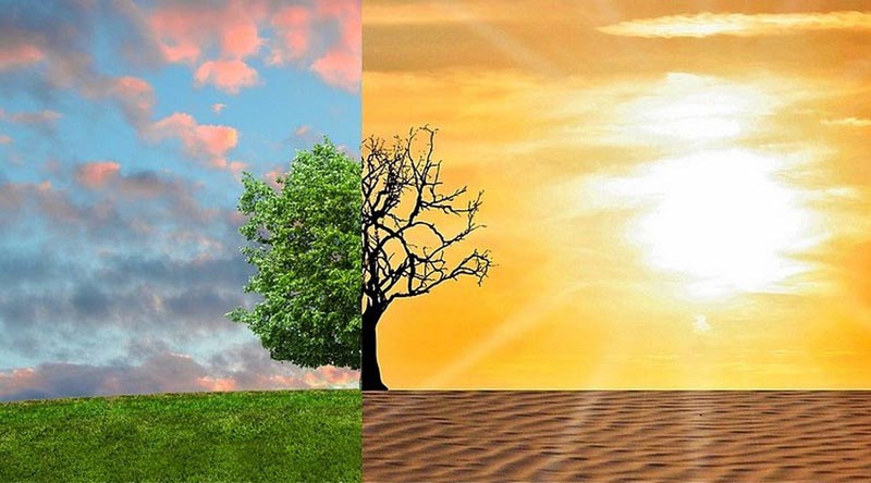 ngành biến đổi khí hậu và phát triển bền vững
