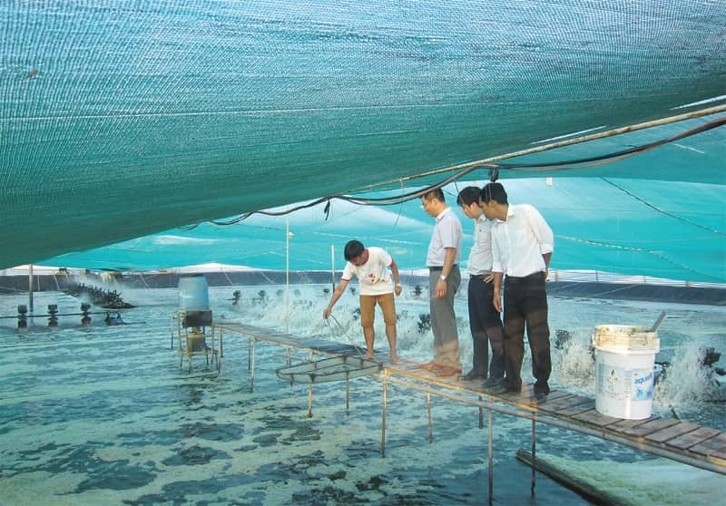 Ngành học nuôi trồng thủy sản lấy bao nhiêu điểm và khối thi thế nào?