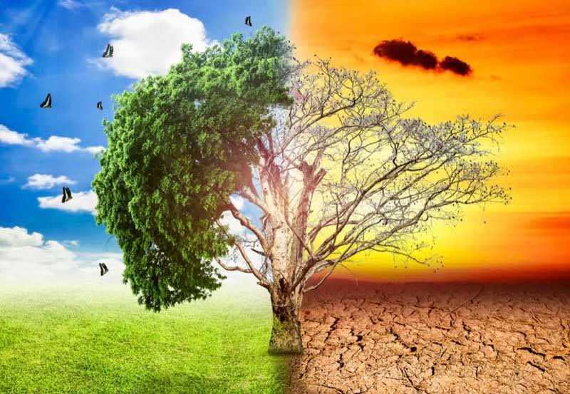 ngành biến đổi khí hậu và phát triển bền vững