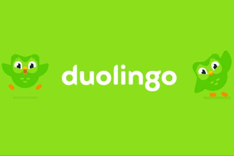 game vui duolingo