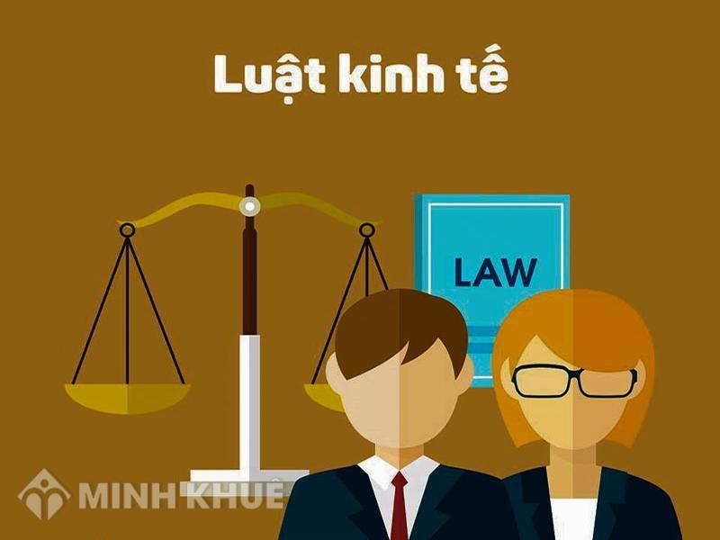 luat-kinh-te-la-gi---tim-hieu-quy-dinh-ve-luat-kinh-te-357708