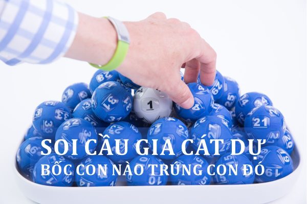 Gia Cát Dự soi cầu là gì?