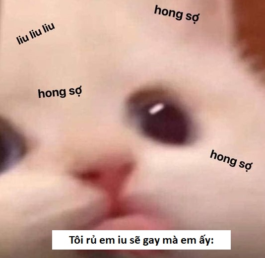 Full) Ảnh Sẽ gầy Meme hài hước trên MXH (update mới)