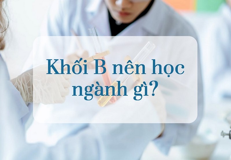 18 điểm khối b nên chọn trường nào?