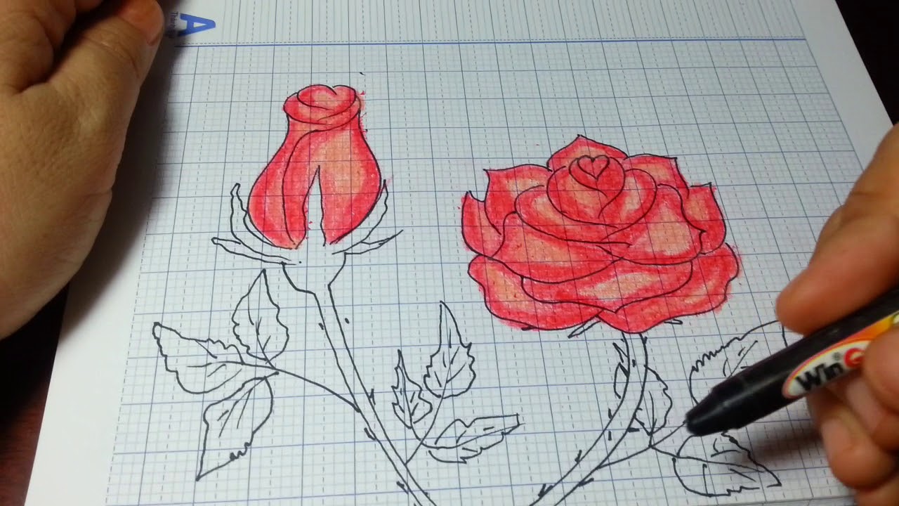 VẼ HOA HỒNG ĐƠN GIẢN NHẤT/How to Draw a Rose (and add color) Super EASY  Realistic