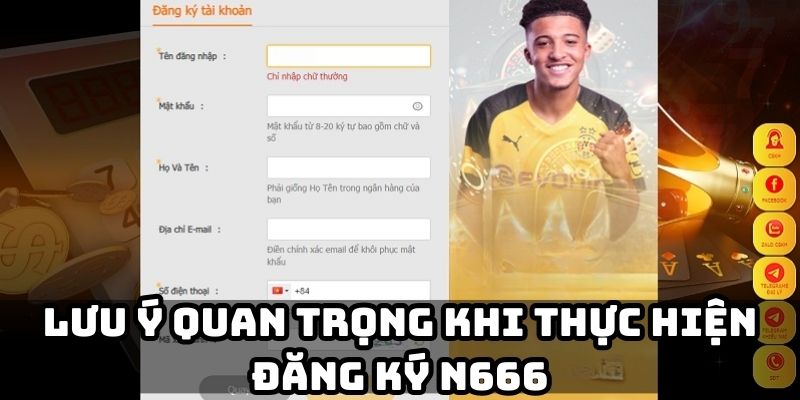 Lưu ý quan trọng khi thực hiện đăng ký N666