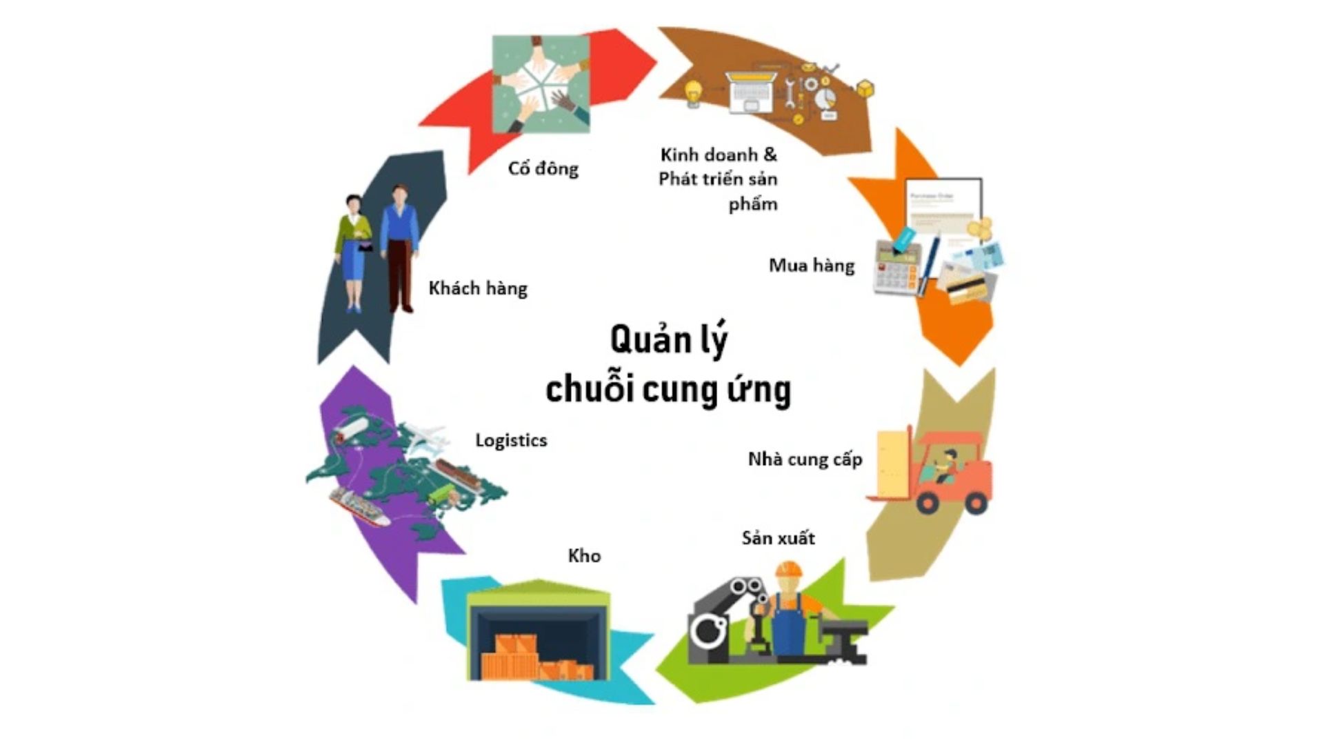 Quản lý chuỗi cung ứng và Logistics